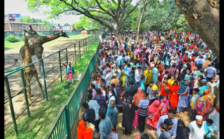 Post-Eid hangout: Dhaka's zoo, parks overflow with holiday crowds