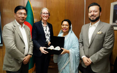 UK interested in HSIA Terminal-3 ground handling role