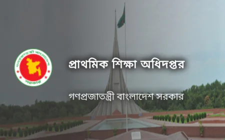 প্রাথমিক শিক্ষা ক্যাডার বাস্তবায়ন ও পদোন্নতির দাবিতে স্মারকলিপি