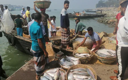 Spare time to visit hilsa’s home Chandpur