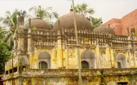 $235,000 US grant to restore Musa Khan Mosque at DU