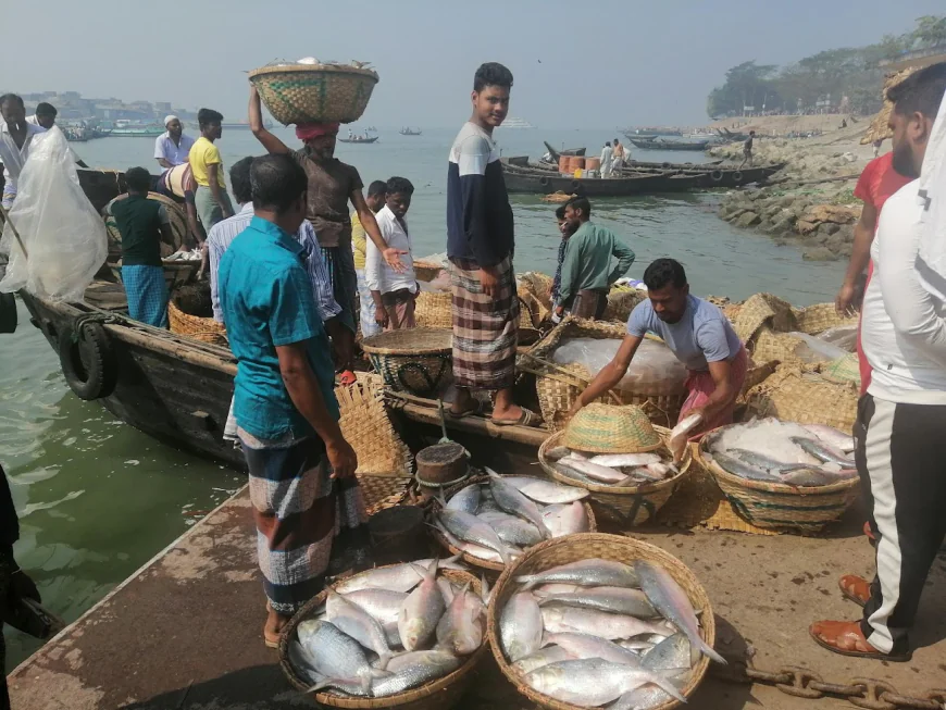 Spare time to visit hilsa’s home Chandpur
