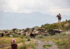 Walking the Silk Road
