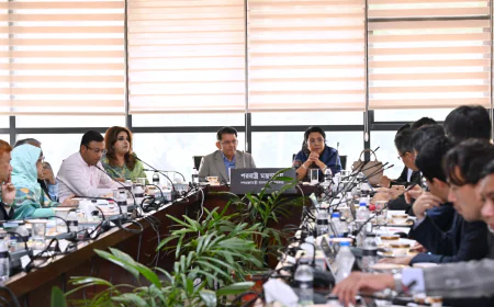 Bangladesh, Japan fresh talks on Dhaka airport’s third terminal deal