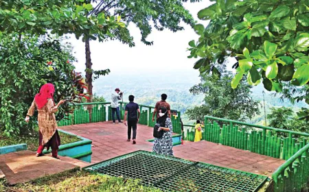 Skilled manpower crisis in tourism, hospitality sectors amid soaring demand