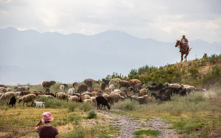 Walking the Silk Road