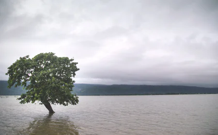 When to explore Tanguar Haor’s stunning beauty