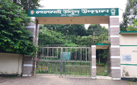 Lalmai Botanical Garden: A sanctuary for endangered and extinct plant species