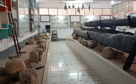 Panchagarh’s unique ‘Rocks Museum’ draws tourists with artefacts