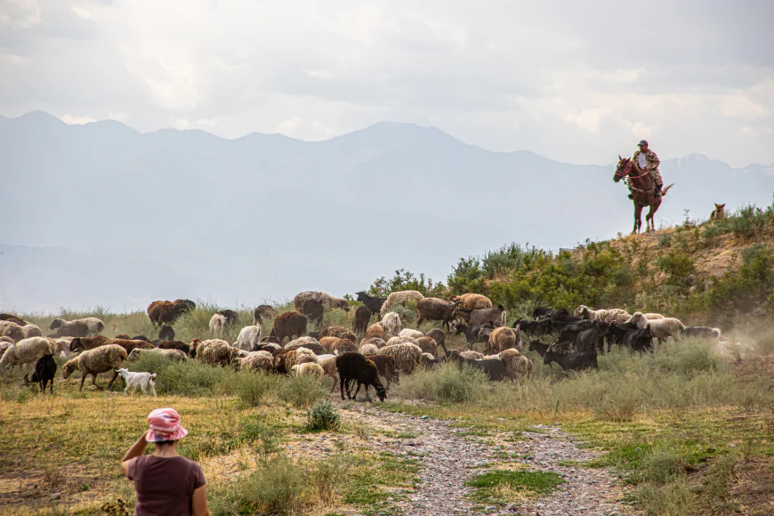 Walking the Silk Road