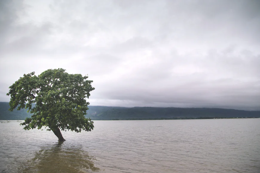 When to explore Tanguar Haor’s stunning beauty