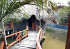 Forest-themed resorts for tourists near Sundarbans