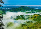 Hills offer cooler escape than beaches amid heatwaves