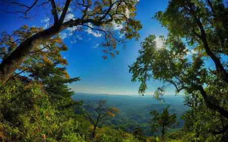 সৌন্দর্যের লীলাভূমি  পাহাড়ি জেলা খাগড়াছড়ি
