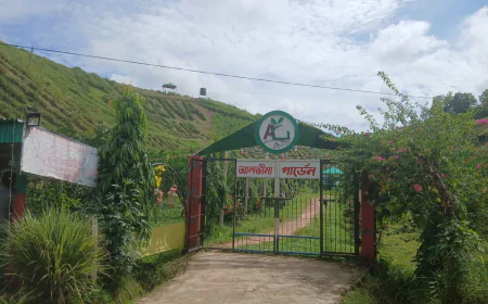 Sylhet's Golapganj emerges as agro-tourism hub, offering rural experiences