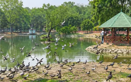 Rajshahi to develop eco park full of birds