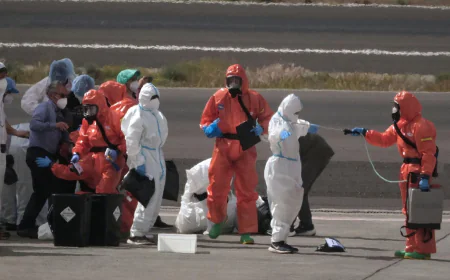 US flight attendants’ union urges screening for Hantavirus