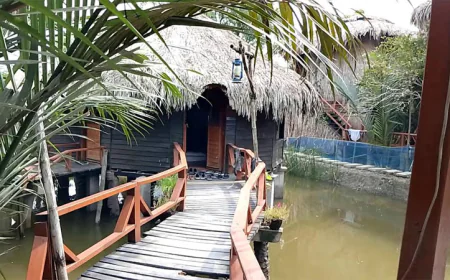 Forest-themed resorts for tourists near Sundarbans
