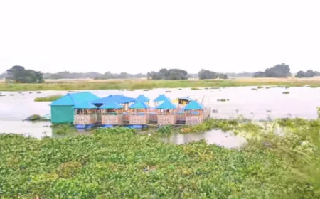 Resort in Chandpur drifts into river, later rescued