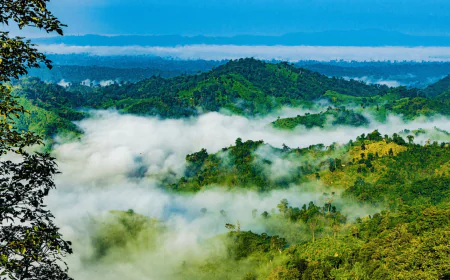 Hills offer cooler escape than beaches amid heatwaves