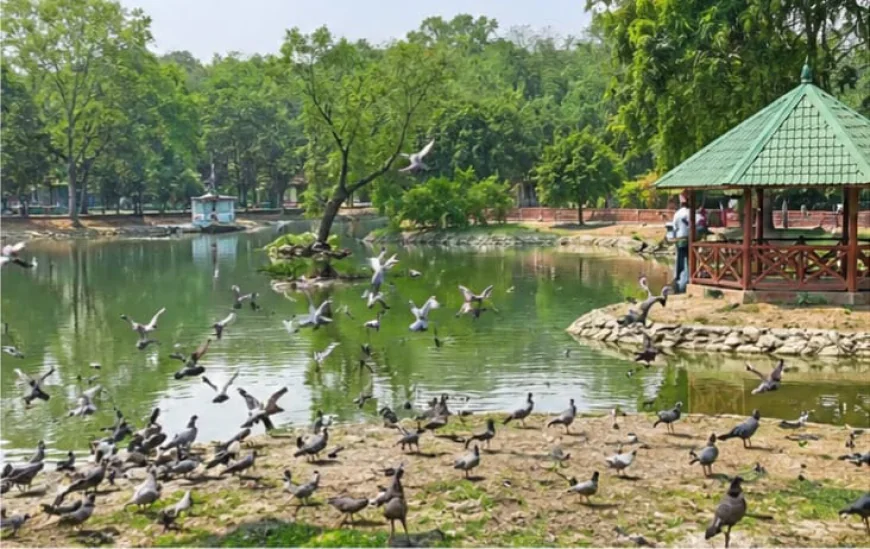Birdwatchers' park opening in Rajshahi soon