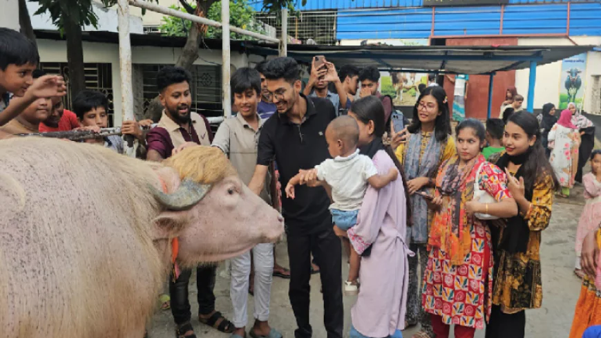 Trump, Netanyahu, Modi buffaloes go viral