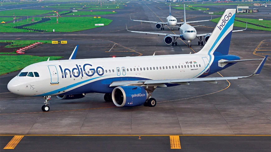 Indian flight briefly halted by fox at Dhaka airport