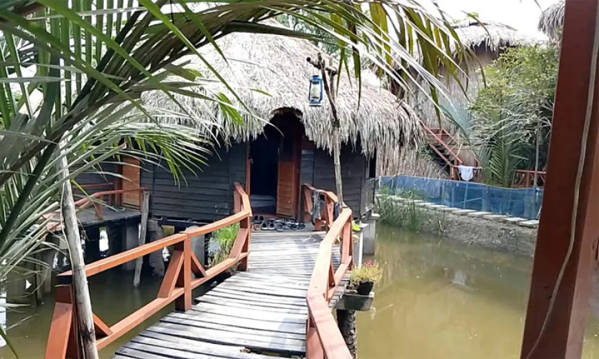 Forest-themed resorts for tourists near Sundarbans