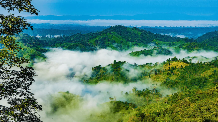 Hills offer cooler escape than beaches amid heatwaves