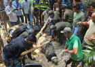 Khan Jahan shrine crocodile finds new habitat