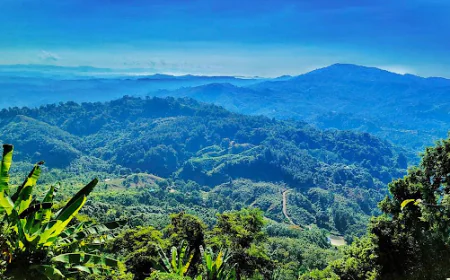 Tourist turnout in Bandarban below expectations this Eid