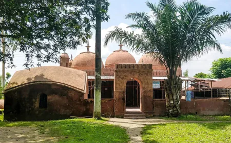 Mughal-era Nidaria Mosque awaits preservation
