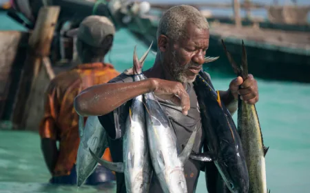 Tuna industry in Maldives expanding