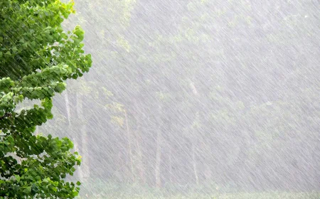 Monsoon rain may disrupt travel plans
