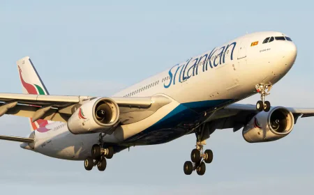 Sri Lankan A330 returns after lightning strike