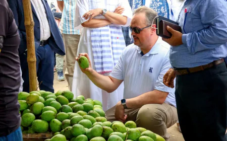 US envoy praises Rajshahi mangoes