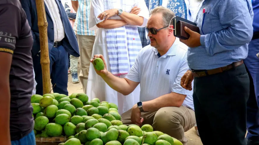 US envoy praises Rajshahi mangoes