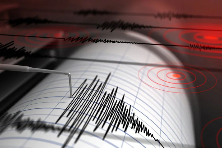 Tremor jolts Dhaka