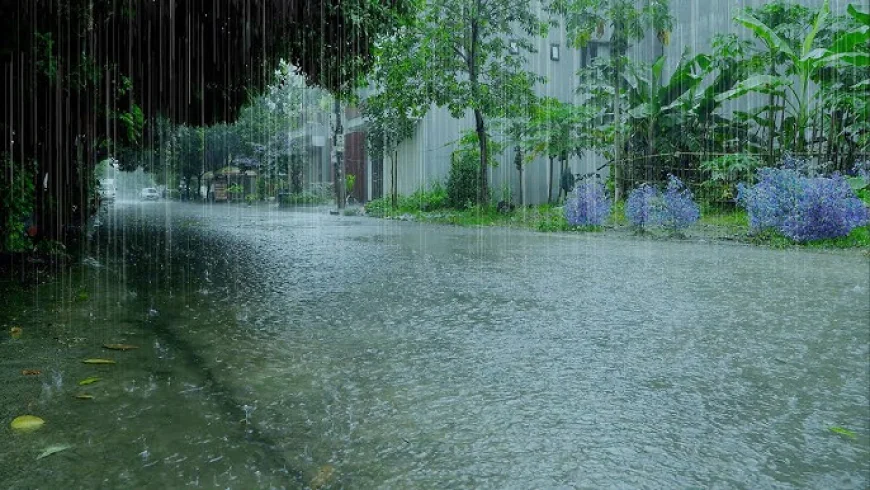 Safety tips for trips during monsoon