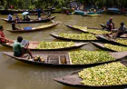 PM OKs steps for riverine ecotourism hub in south