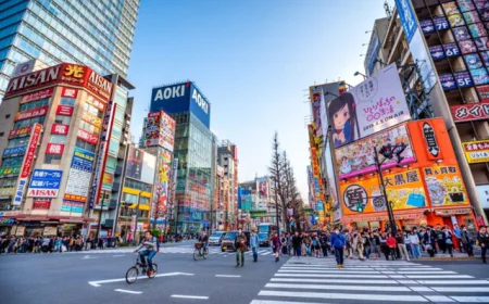 Japan tightens business visa rules