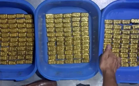 Customs seize 19kg gold from Biman flight