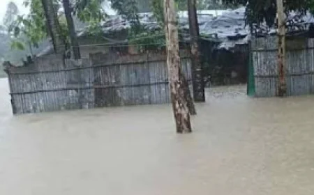 Heavy rain triggers landslides in hill districts
