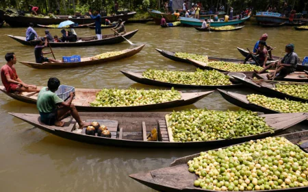 PM OKs steps for riverine ecotourism hub in south