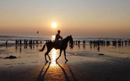 Holiday break boosts tourist bookings