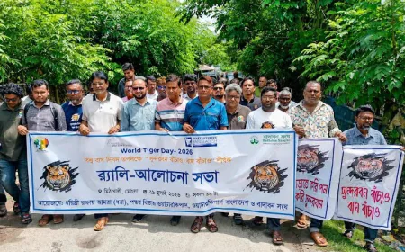 World Tiger Day's call for protection of Sundarbans