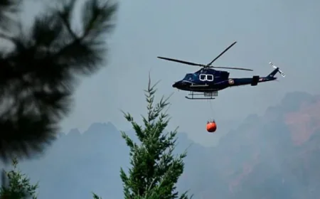 Seven dead in helicopter crash in Argentina