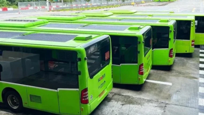 1400 electric buses planned to boost Bangladesh’s tourism connectivity