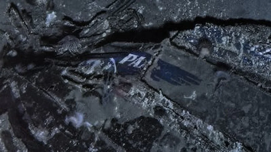 Pan Am wreck found 74yrs after crash