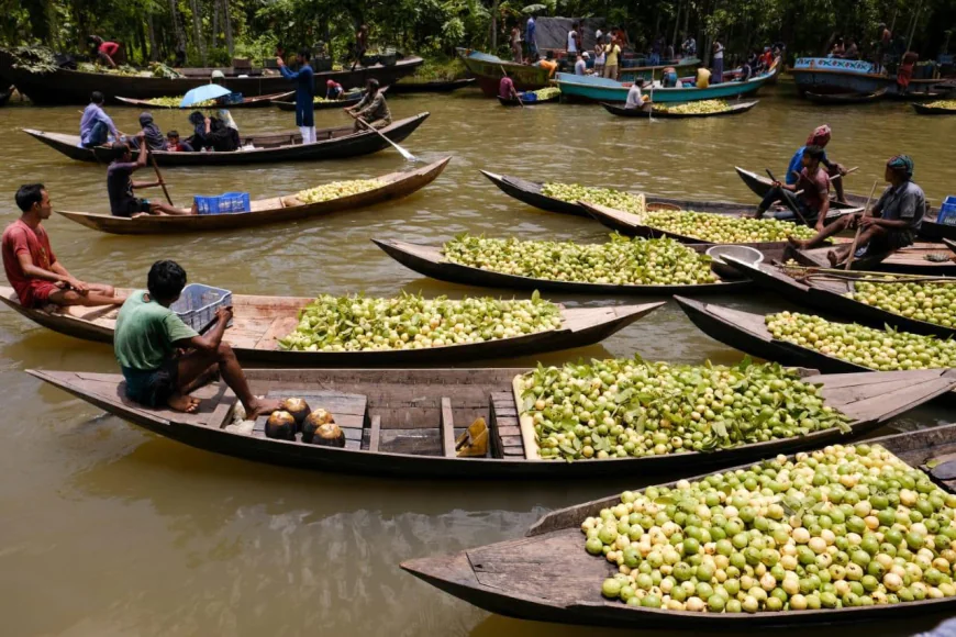 PM OKs steps for riverine ecotourism hub in south